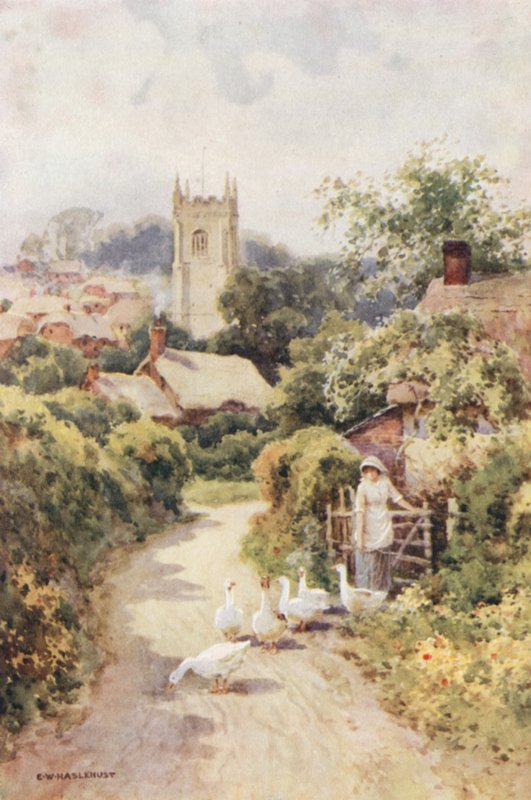 Bere Regis (barevné lito) od Ernest William Haslehust