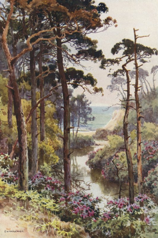 Branksome Chine, Bournemouth (barva lito) od Ernest William Haslehust