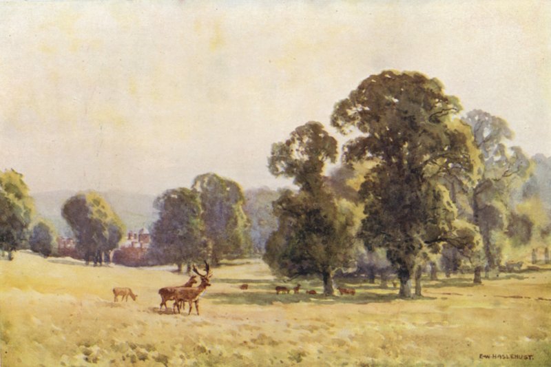 Cobham Park (barevné lito) od Ernest William Haslehust