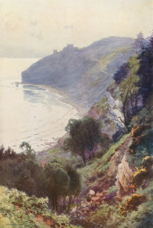 Durlston Bay, Swanage (barevní členové) od Ernest William Haslehust