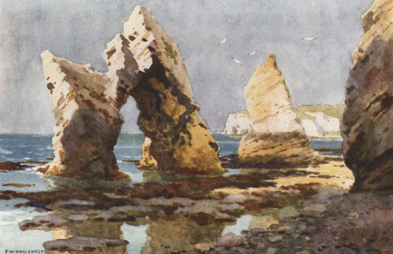 Ve sladkovodní zátoce (barevné lito) od Ernest William Haslehust