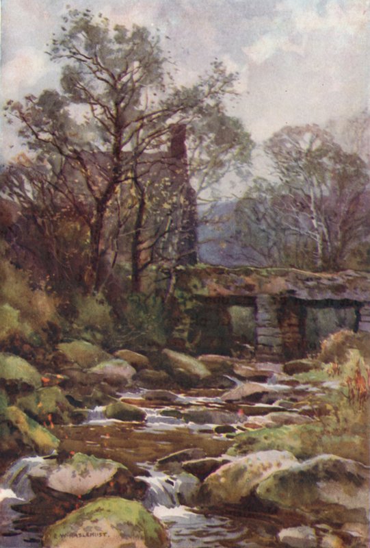 Ockery Bridge, poblíž Princetown (barevné lito) od Ernest William Haslehust