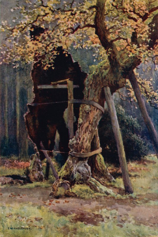 Spisovna Robina Hooda (barevná lito) od Ernest William Haslehust