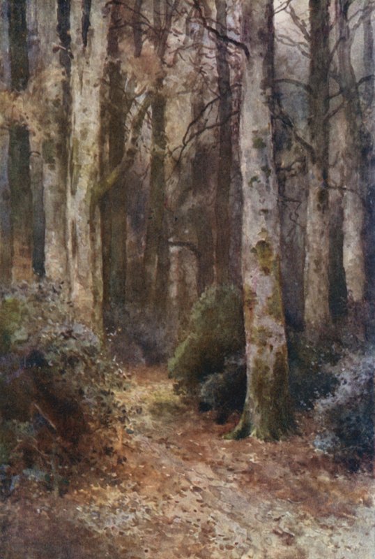 "Katedrála" (barva litho) od Ernest William Haslehust
