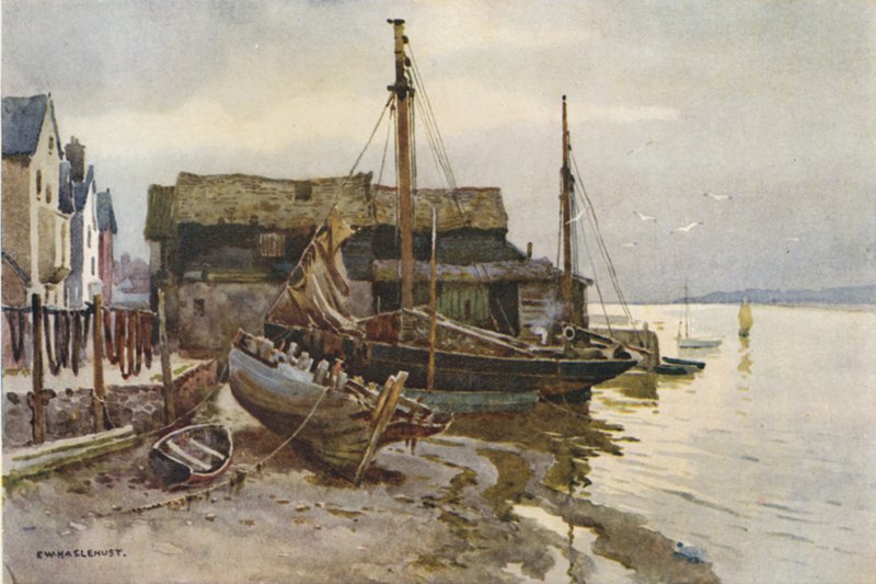 Exe v Topshamu (barevné lito) od Ernest William Haslehust