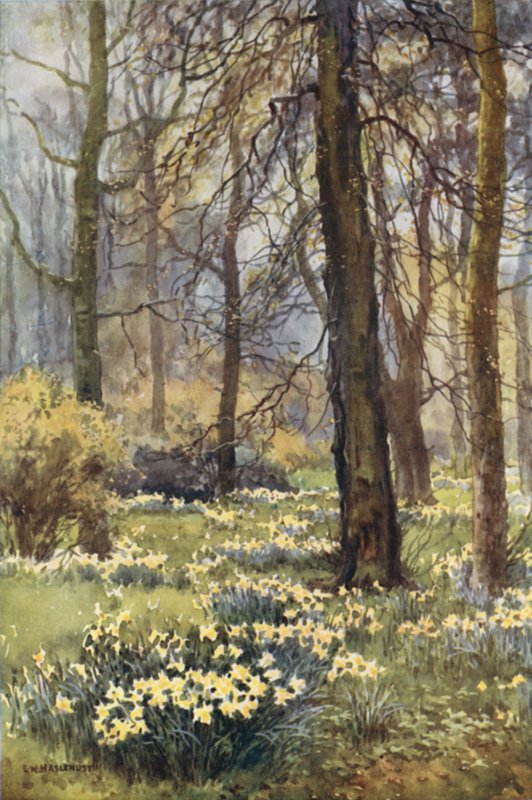 Divočina na jaře (barevné lito) od Ernest William Haslehust