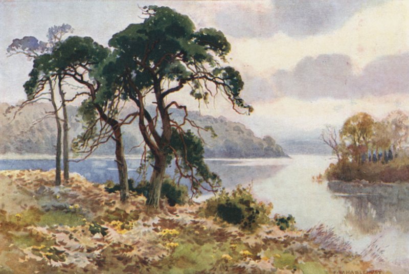 Virginia Water (barva lito) od Ernest William Haslehust