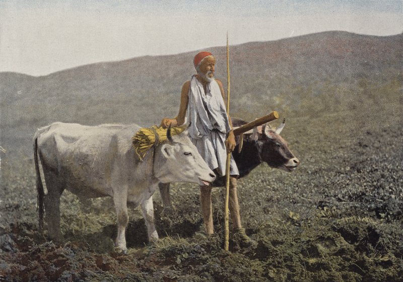 tým Kabyle od European Photographer