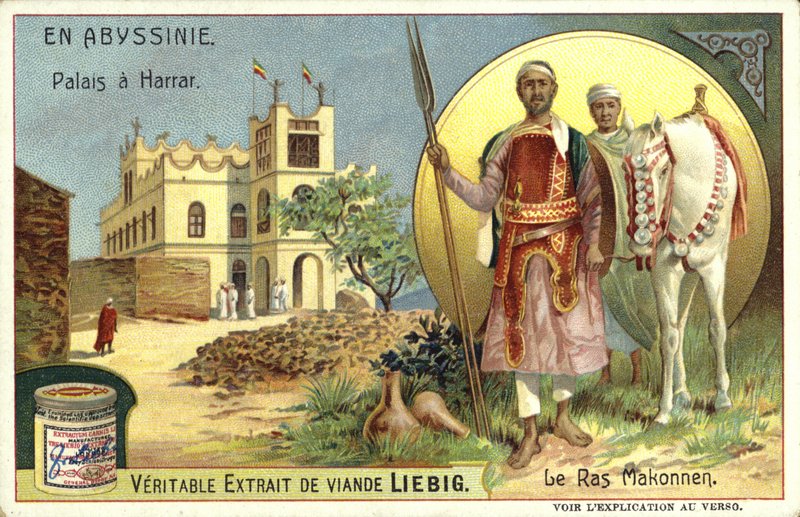 Palác v Hararu a Ras Makonnen, Etiopie od European School