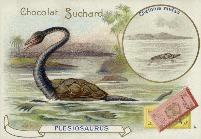 Plesiosaurus a zelená mořská želva od European School