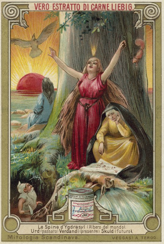 Strom Yggdrasil od European School