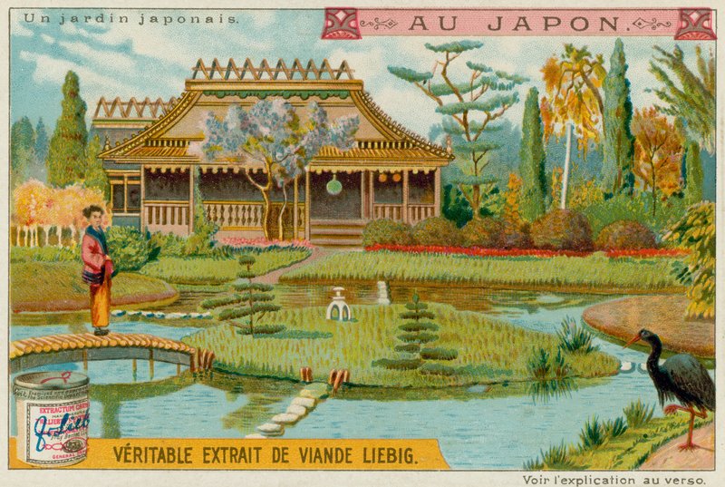 Japonská zahrada od European School