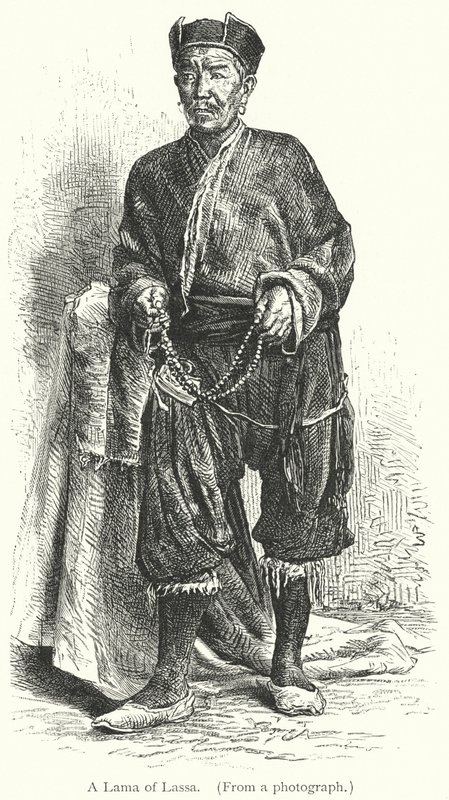 Lama of Lassa (rytina) od European School