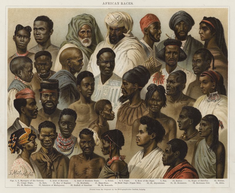 Africké rasy od European School