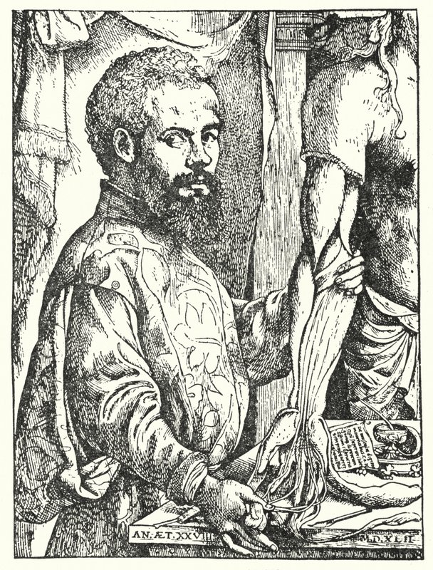 Andreas Vesalius (rytina) od European School