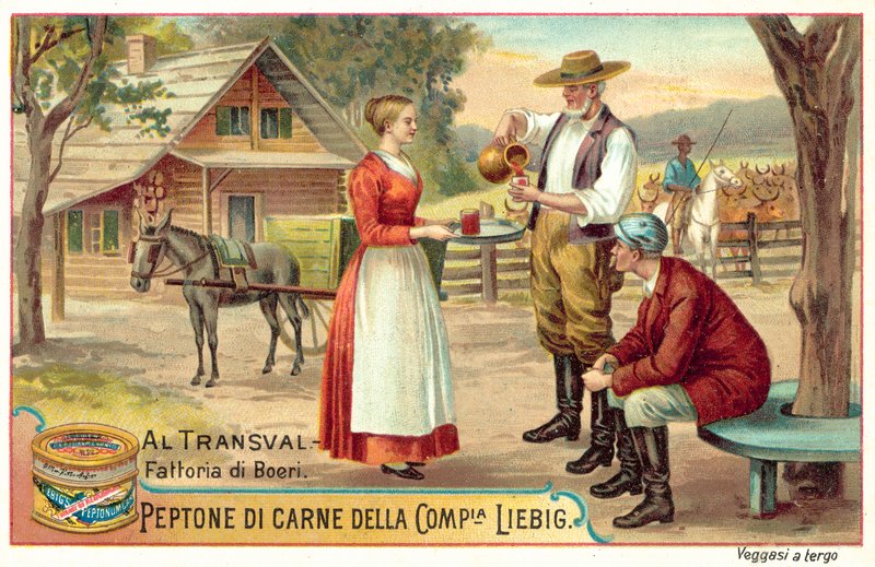 Búrská farma v Transvaalu (chromolitho) od European School
