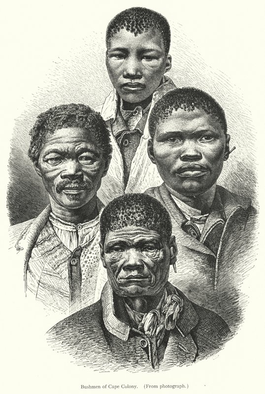 Křováci z Cape Colony (rytina) od European School