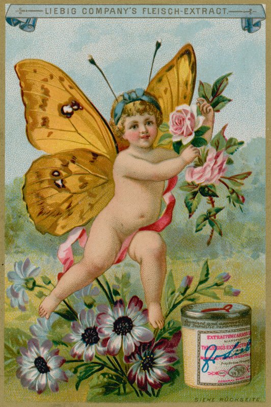Butterfly Cherub s sedmikrásky od European School