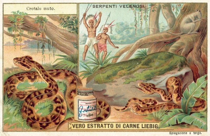 Copperhead (chromolitho) od European School