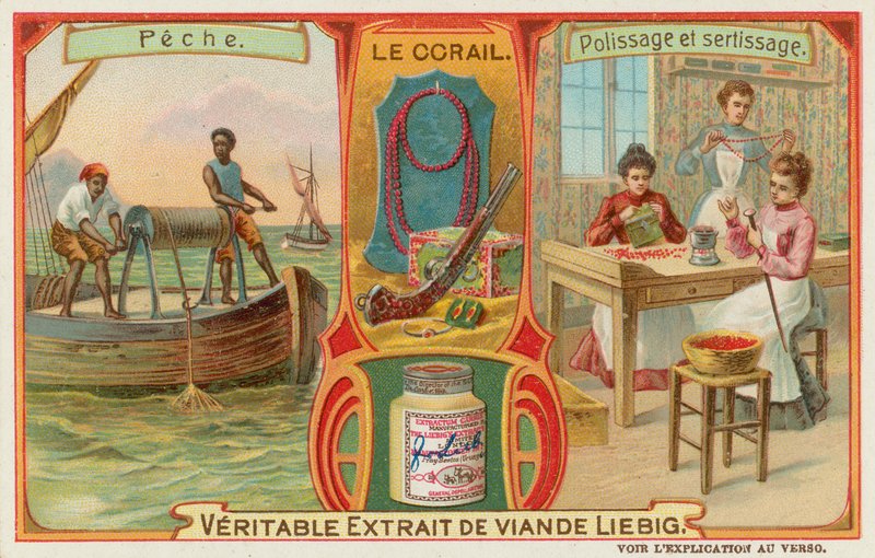 Korál od European School