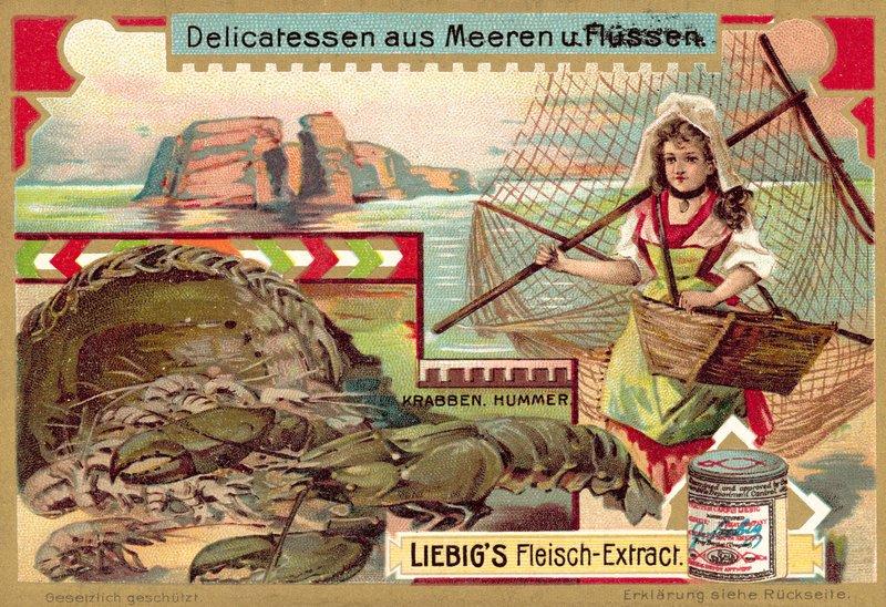 Krab a humr (chromolitho) od European School