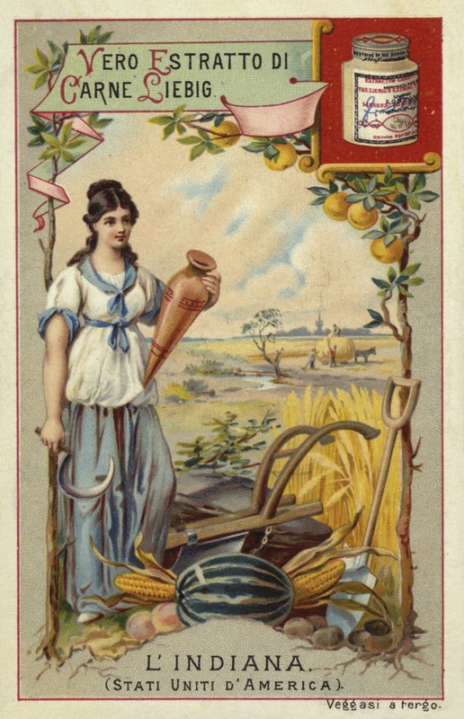 Indiana od European School