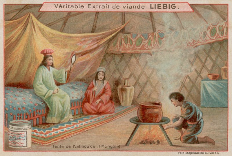 Uvnitř stanu v Mongolsku od European School