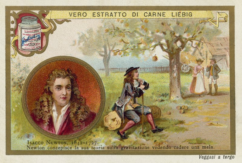 Isaac Newton , anglický fyzik a matematik od European School