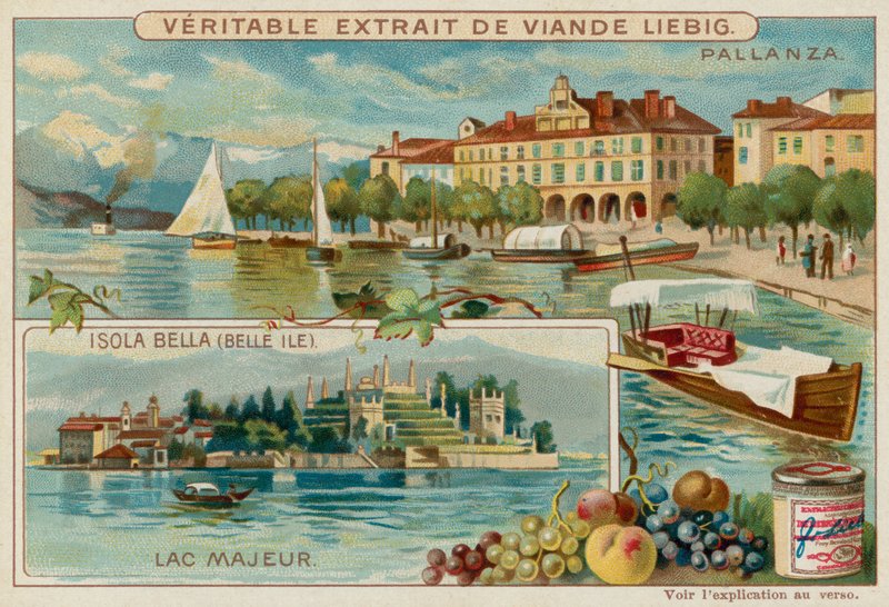 jezero Maggiore od European School