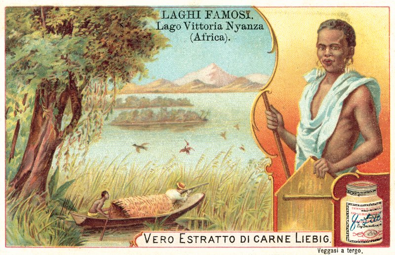 Viktoriino jezero, Afrika (chromolitho) od European School