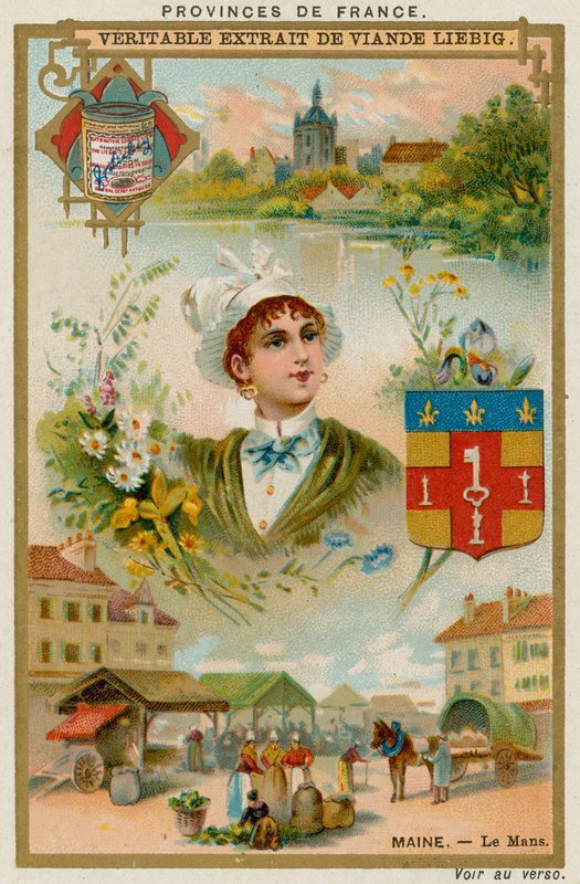 Maine od European School