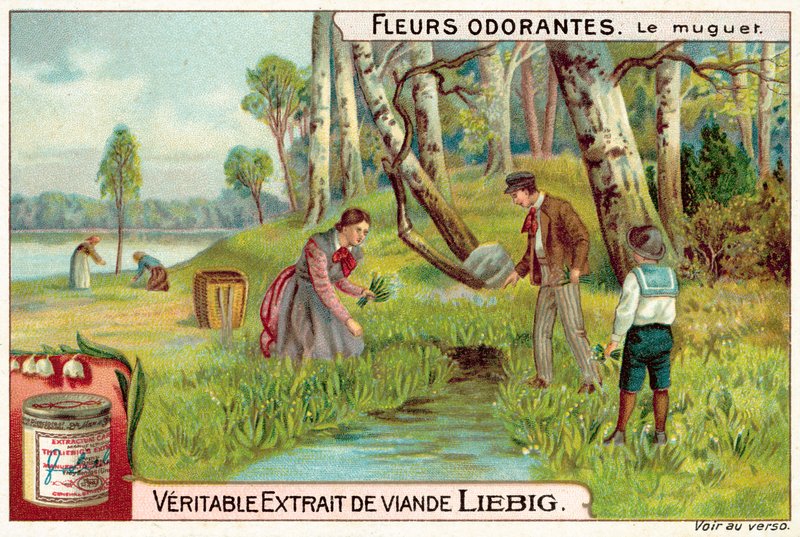 Konvalinka (chromolitho) od European School