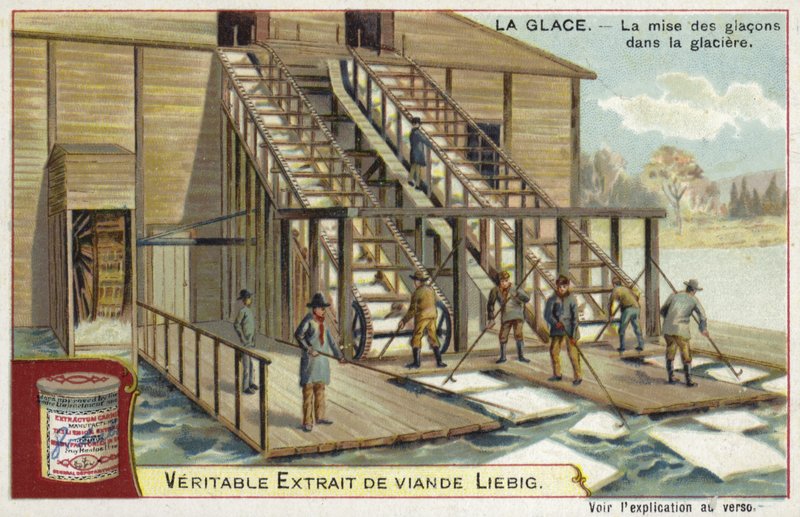 Nakládání ledu do ledárny od European School
