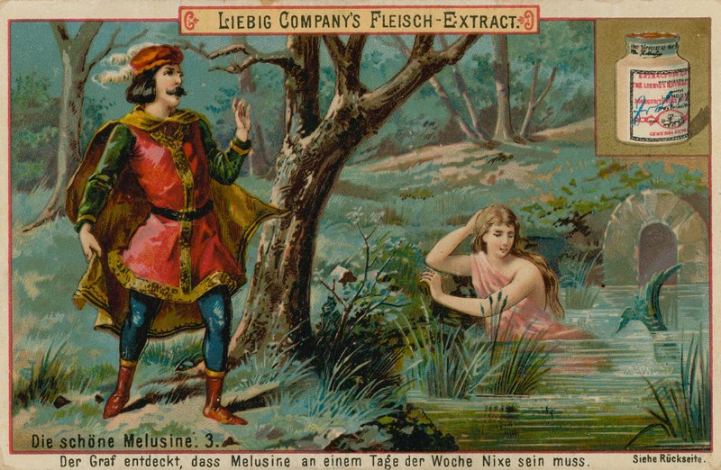 Meluzína v řece od European School