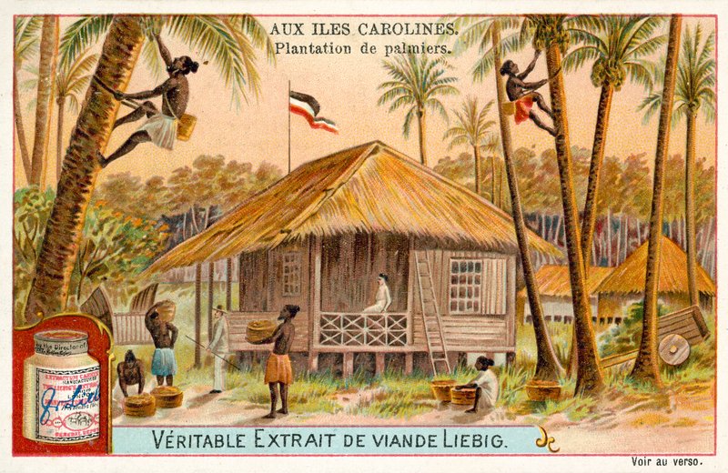 Palmová plantáž, Caroline Islands (chromolitho) od European School