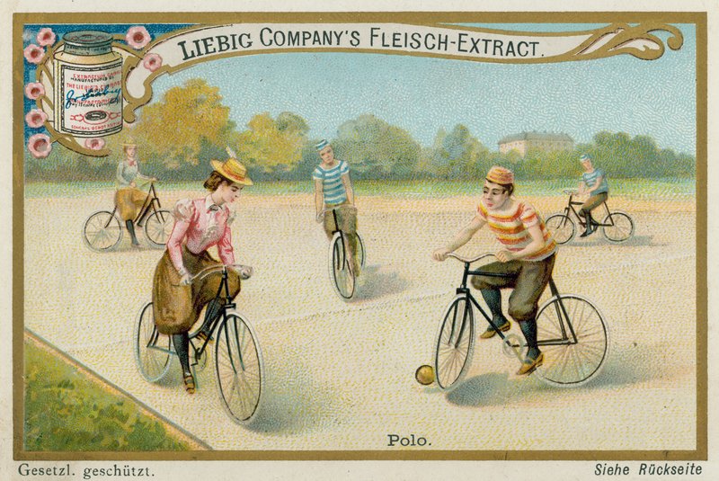 Pólo od European School