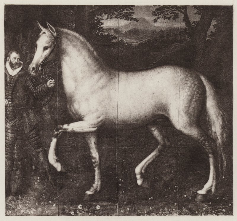 Kůň královny Alžběty (litho) od European School