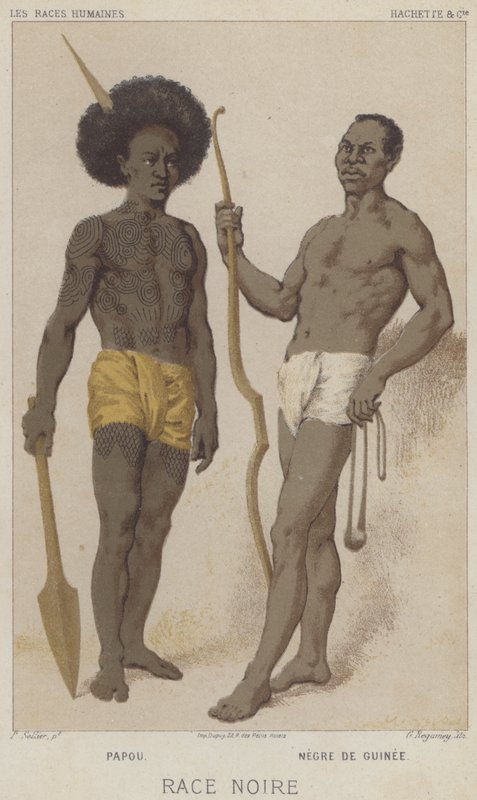 Černá rasa, Papuánci, Černí z Guineje (chromolitho) od European School