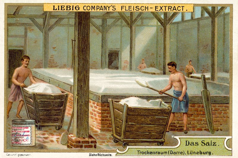 Sůl: sušárna, Luneburg, Německo (chromolitho) od European School