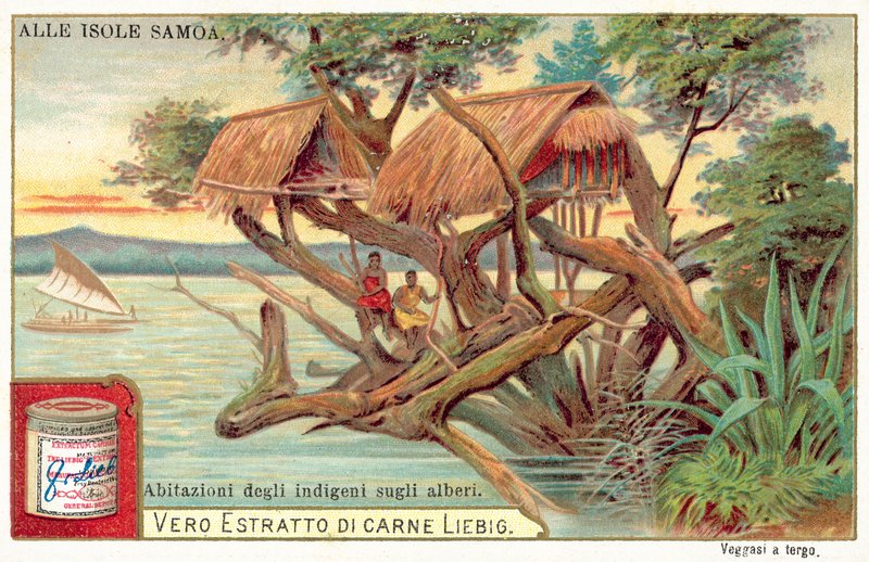 Samojský dům na stromě (chromolitho) od European School