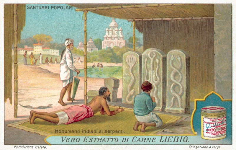 Hadí památky v Indii (chromolitho) od European School