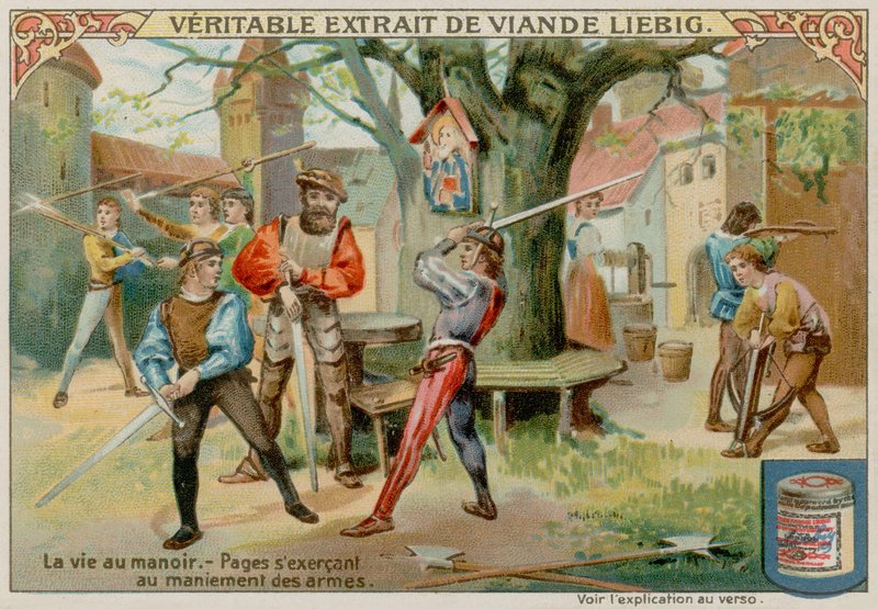 Cvičební dvůr od European School
