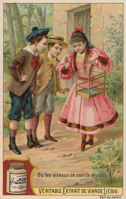Ztracení ptáci od European School