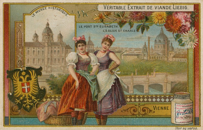 Vídeň od European School