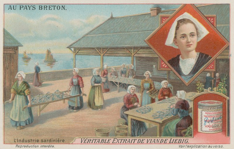 Ženy připravující sardinky (chromolitho) od European School