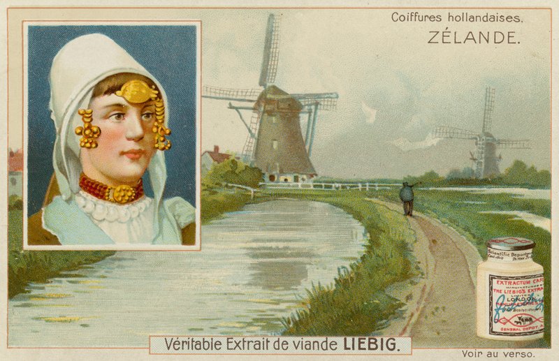 Zélandu od European School