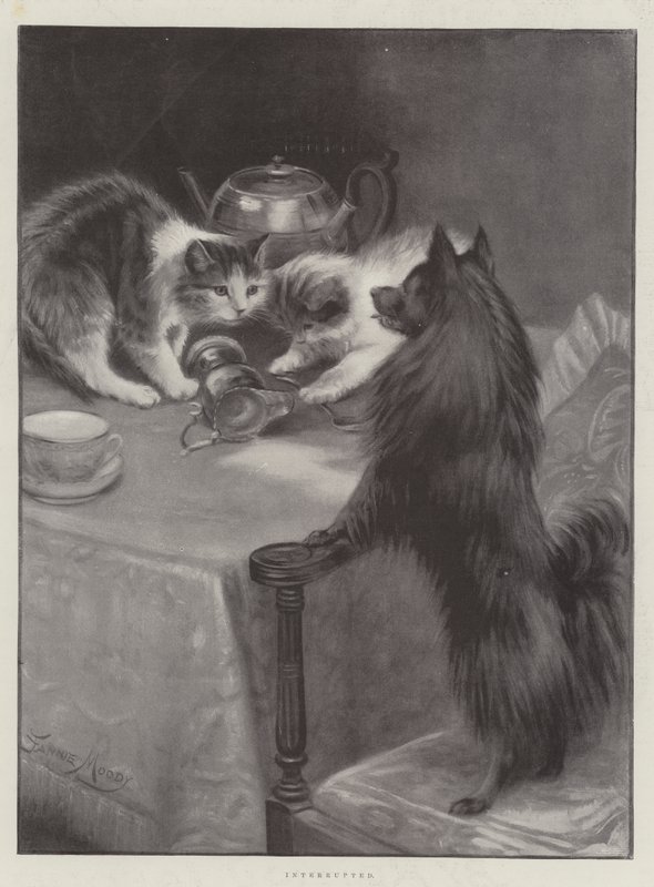 Přerušeno od Fannie Moody