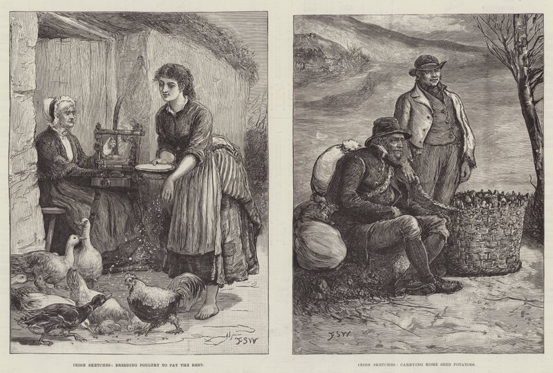 Irské skici od Francis S. Walker