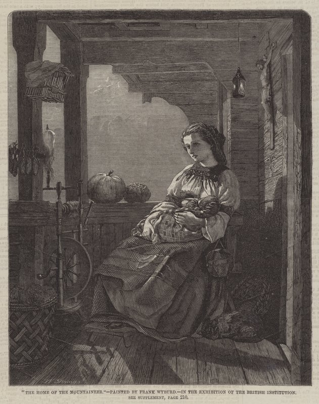 Domov horolezce od Francis John Wyburd