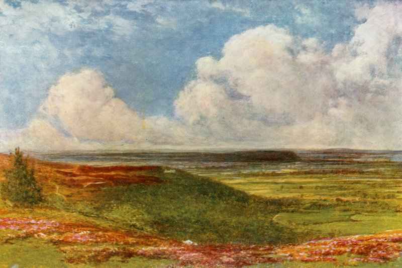 Blackdown Common od Francis S. Walker
